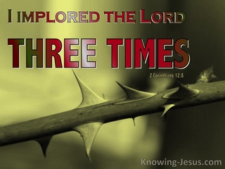 2 Corinthians 12:8  Three Times (sage)